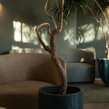 St. Oberholz Woldzegarten Retreat * Leizen