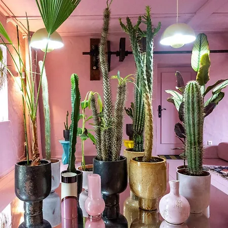 St. Oberholz Woldzegarten Retreat Leizen