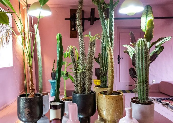 St. Oberholz Woldzegarten Retreat Leizen